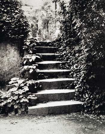 balu-escalier